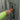 Klein ET310 Digital Circuit Breaker Finder with GFCI Outlet Tester