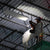 Klein BAT20UBL Cordless Utility LED Light (Tool Only)