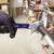 Klein D86930 Reversible Jaw/Adjustable Pipe Wrench, 10"