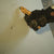 Klein 44133 Klein-Kurve Retractable Utility Knife