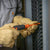 Klein 9419R 1000V Insulated Tool Set, 5-Piece