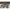Bromic Heating - Tungsten - 2000 Watts Electric Single Element Heater Black - Freedom HVAC Supply