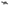 NAVAC NVR2 - Valve Core Removal Tool
